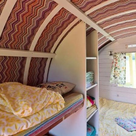 Clissmann Horse Caravans Glamping Rathdrum Kültér fotó