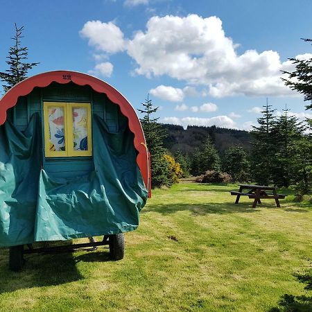 Clissmann Horse Caravans Glamping Rathdrum Kültér fotó