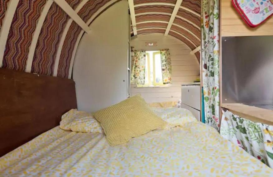 Clissmann Horse Caravans Glamping Rathdrum Kültér fotó