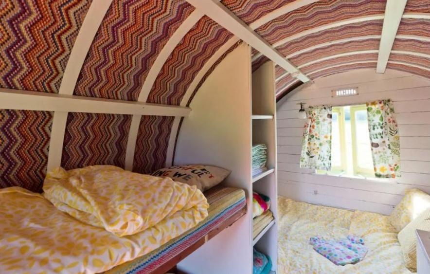 Clissmann Horse Caravans Glamping Rathdrum Kültér fotó