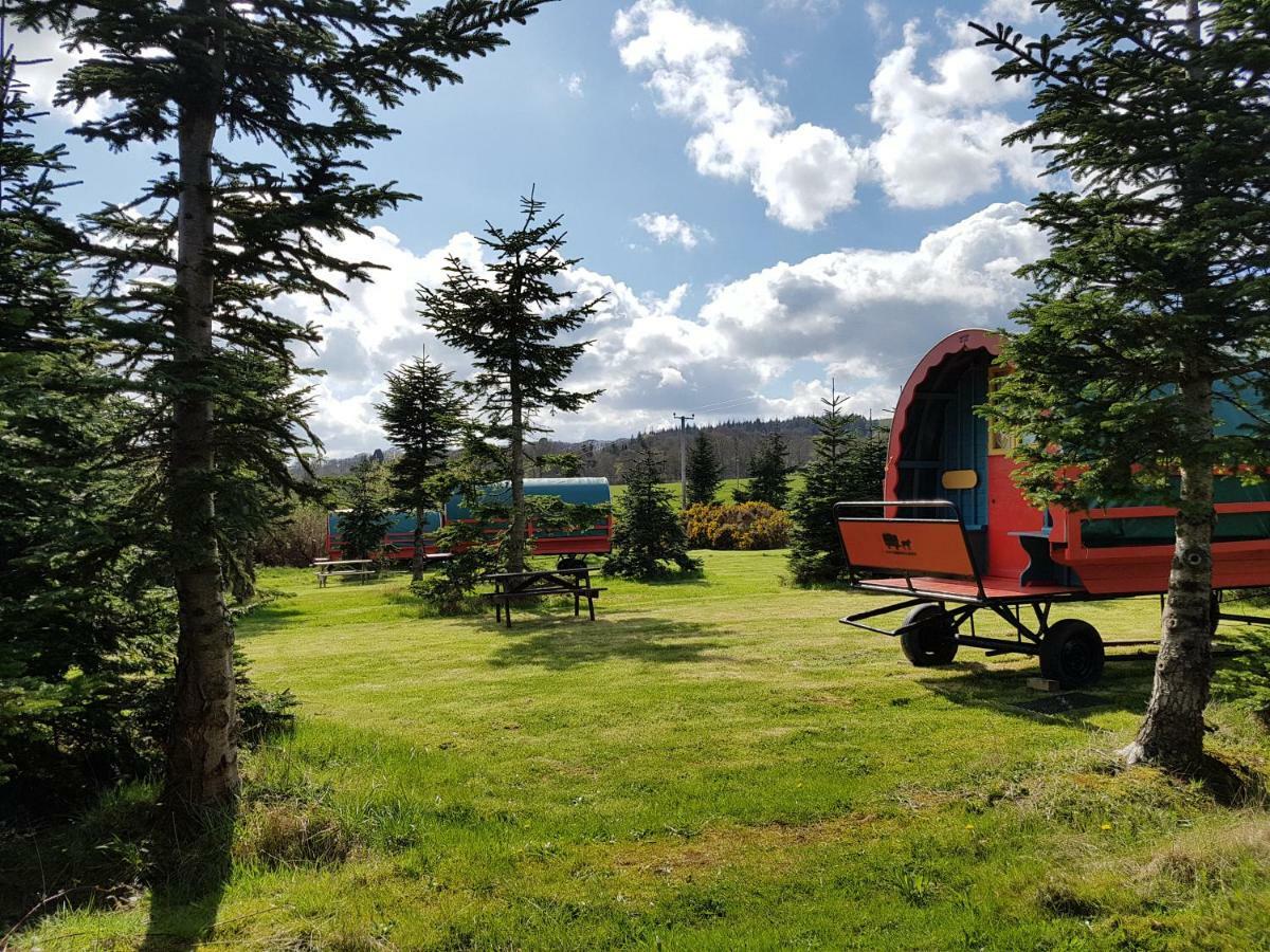 Clissmann Horse Caravans Glamping Rathdrum Kültér fotó