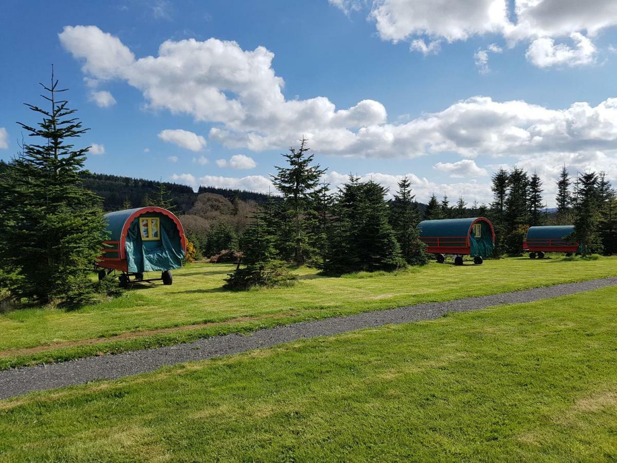 Clissmann Horse Caravans Glamping Rathdrum Kültér fotó