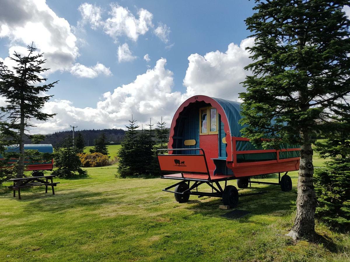 Clissmann Horse Caravans Glamping Rathdrum Kültér fotó