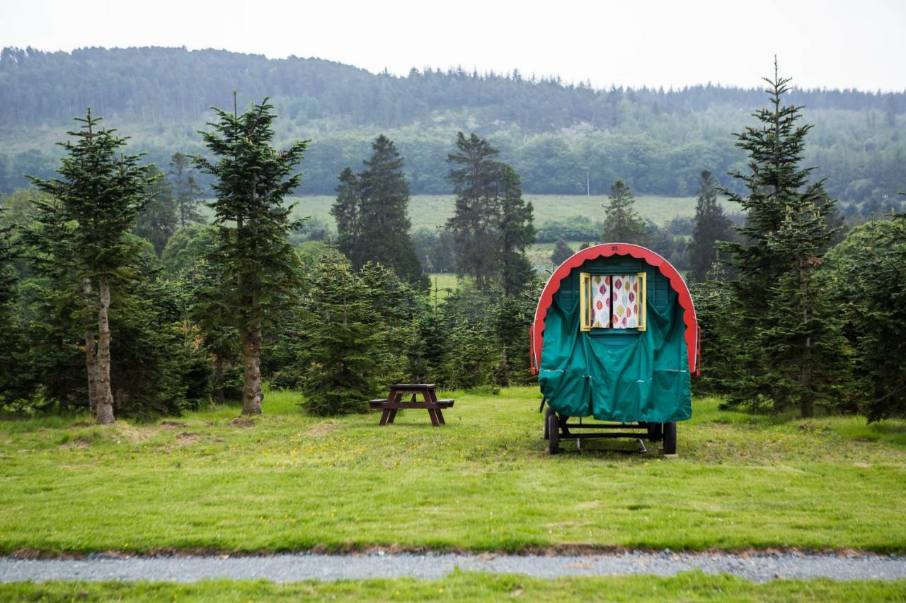 Clissmann Horse Caravans Glamping Rathdrum Kültér fotó