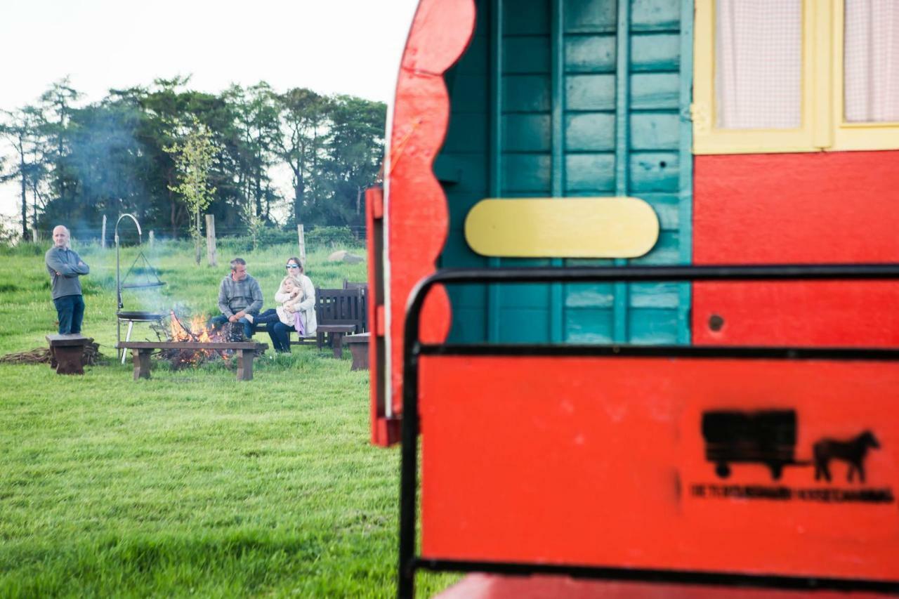 Clissmann Horse Caravans Glamping Rathdrum Kültér fotó