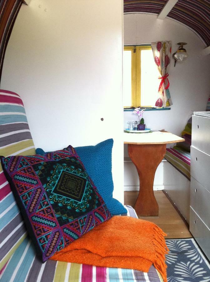 Clissmann Horse Caravans Glamping Rathdrum Kültér fotó