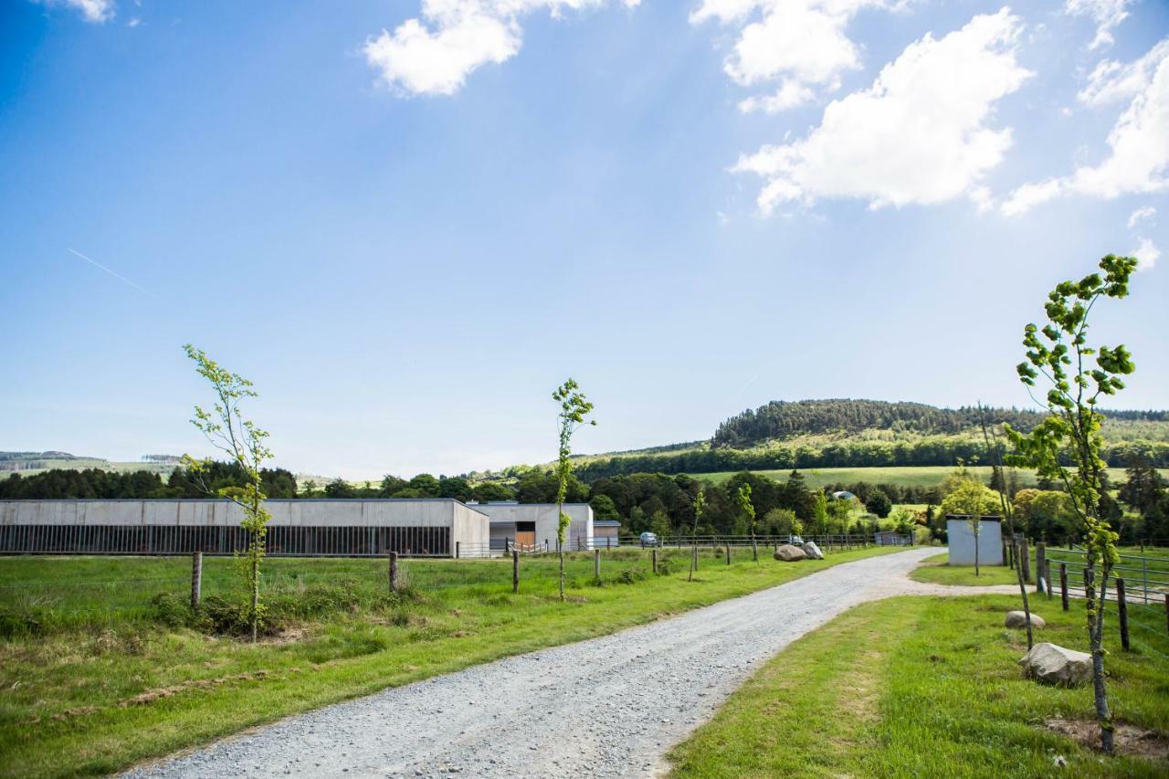 Clissmann Horse Caravans Glamping Rathdrum Kültér fotó